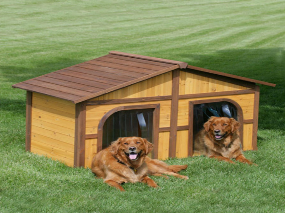 duplex dog house